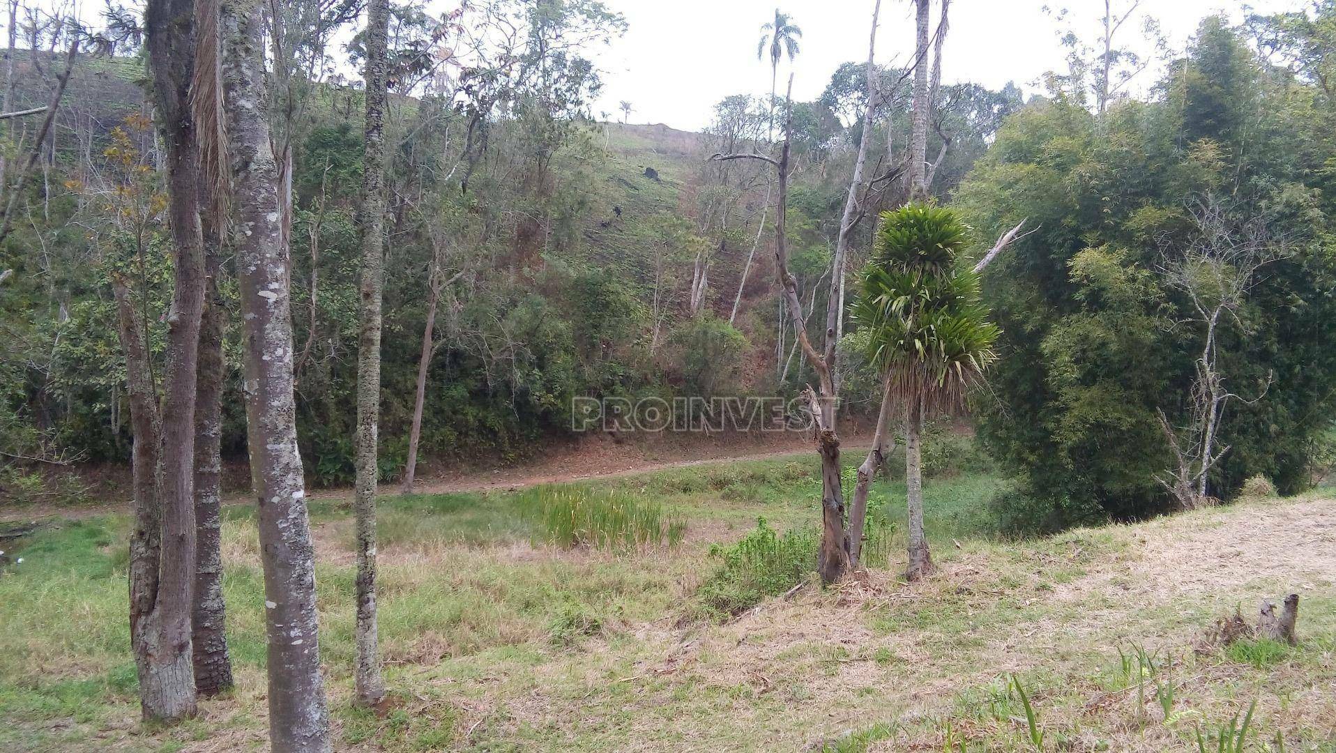 Terreno à venda e aluguel, 18000M2 - Foto 1