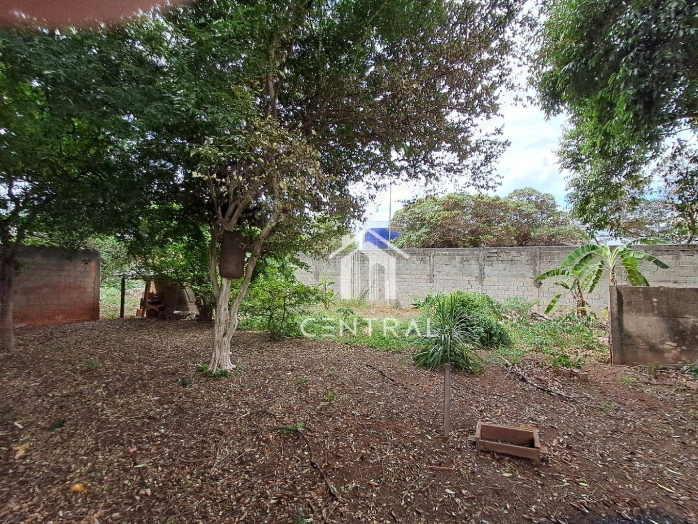 Casa, 4 quartos, 245 m² - Foto 5