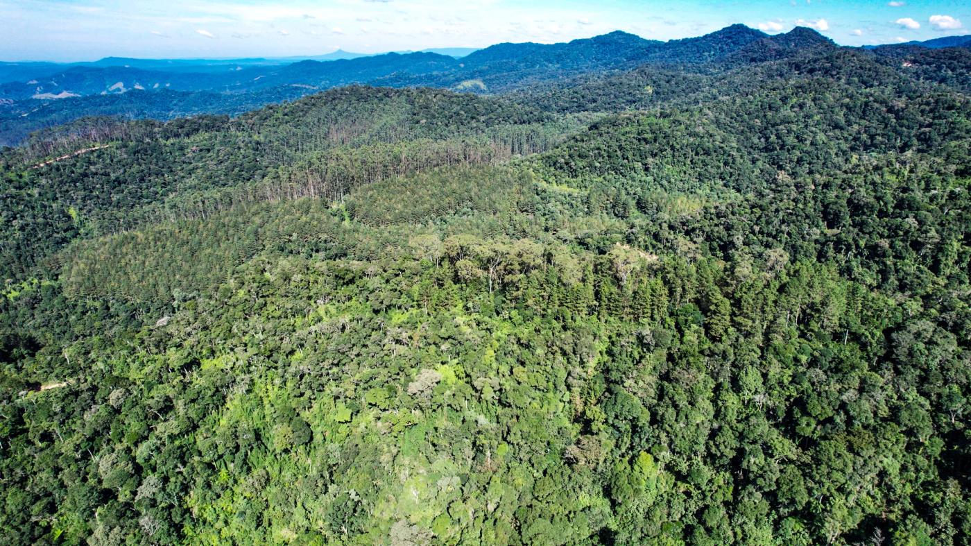 Fazenda à venda com 4 quartos, 4140000m² - Foto 11