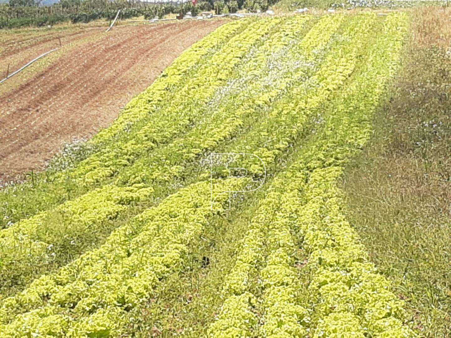 Terreno à venda, 39000M2 - Foto 19