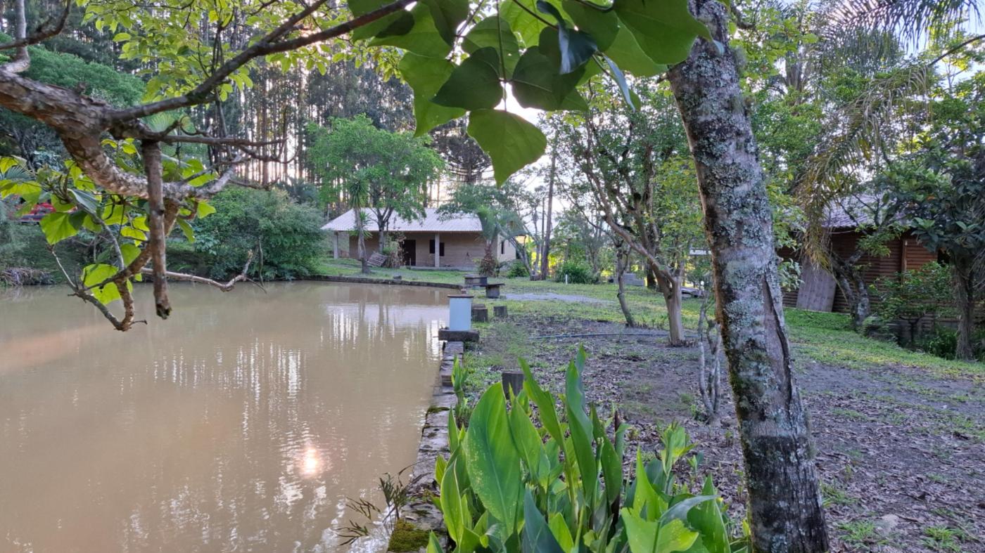 Fazenda à venda com 2 quartos, 8000m² - Foto 21