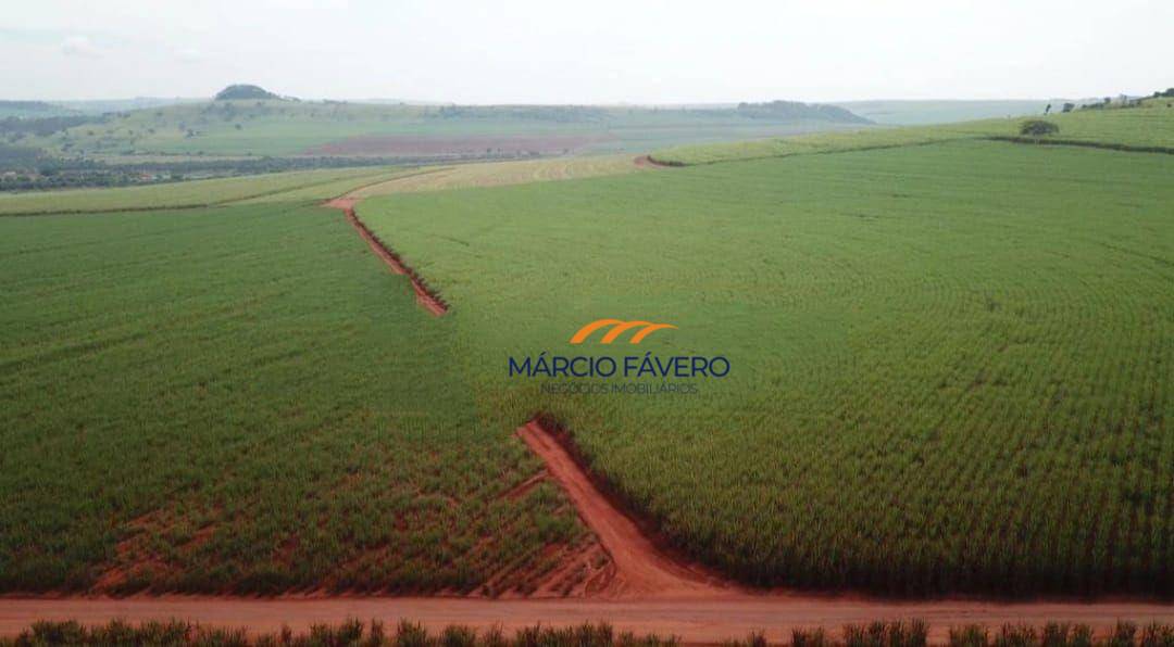 Fazenda-Sítio-Chácara, 1551 hectares - Foto 2