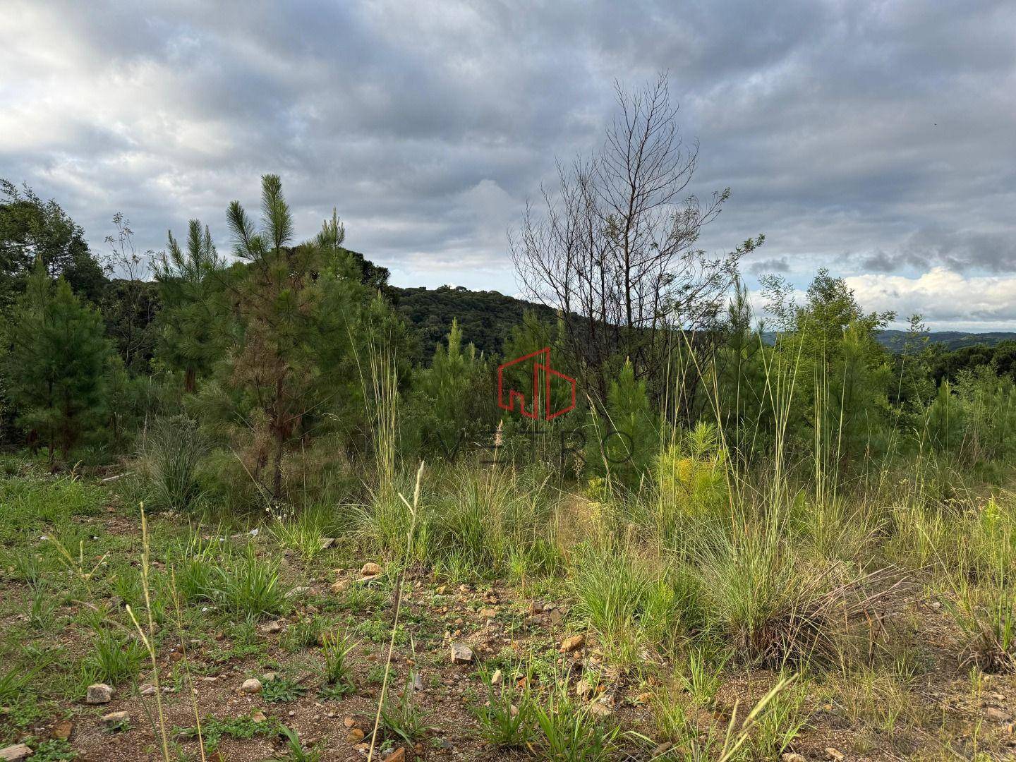Loteamento e Condomínio, 450 m² - Foto 3
