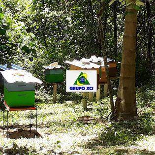 Fazenda-Sítio-Chácara, 97 hectares - Foto 9