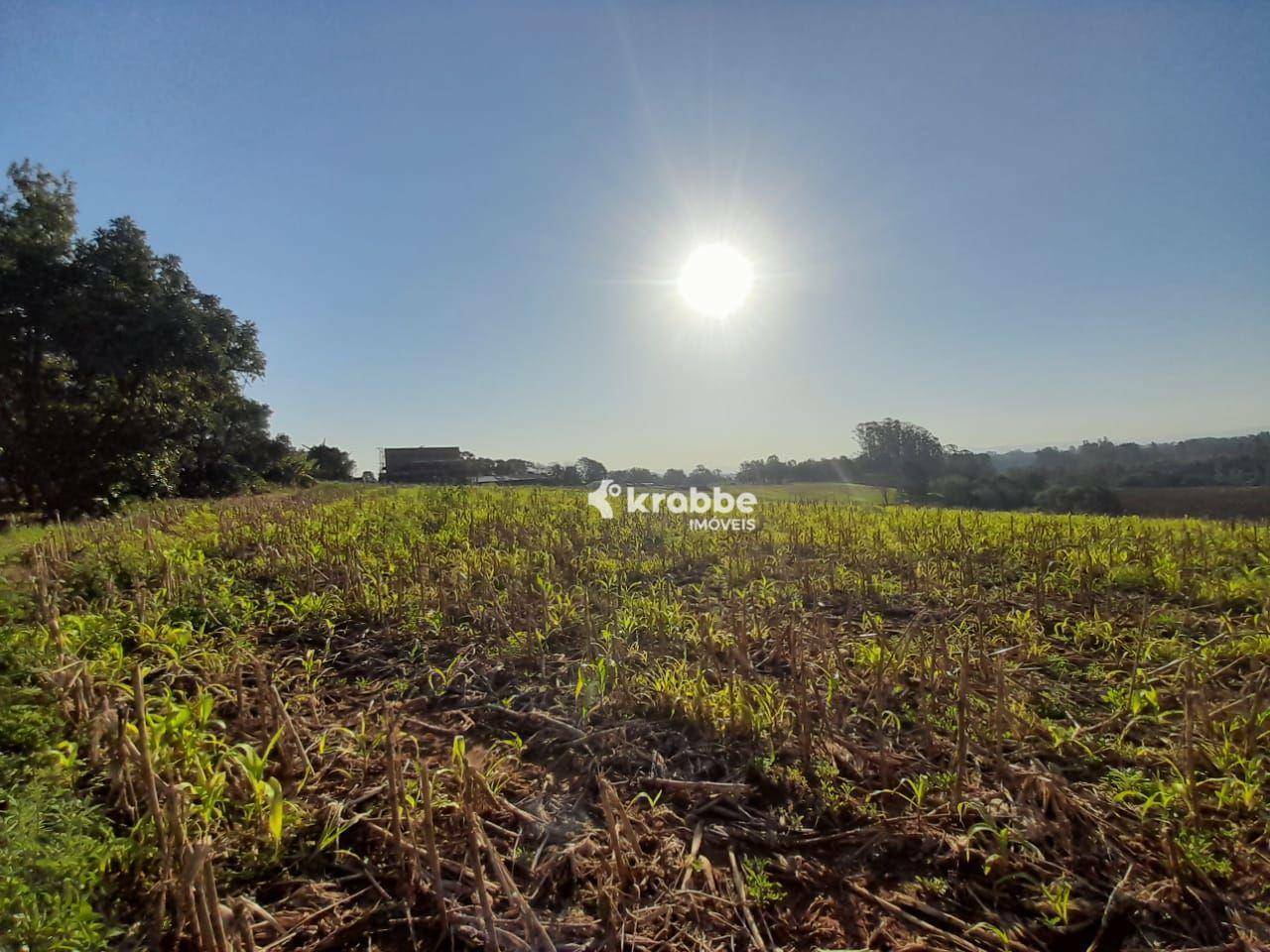 Terreno à venda, 88000M2 - Foto 7