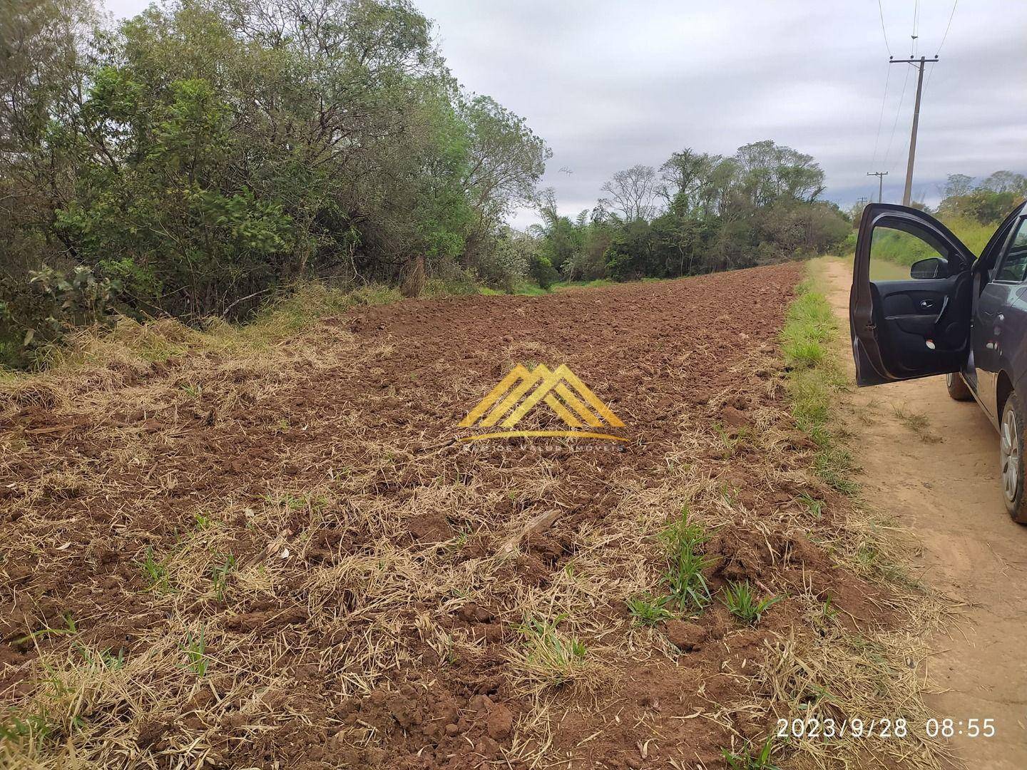 Terreno, 5 hectares - Foto 2