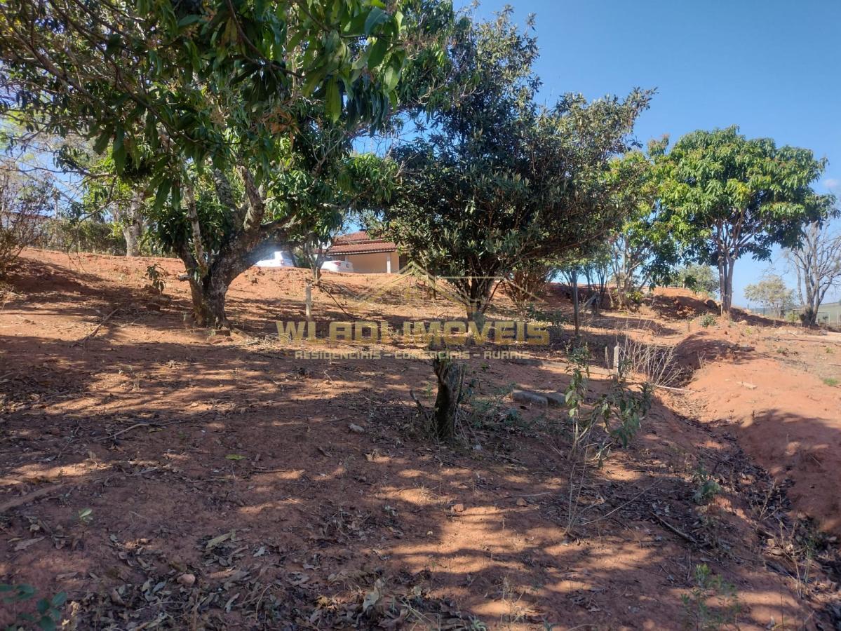 Fazenda à venda com 4 quartos, 4300m² - Foto 24