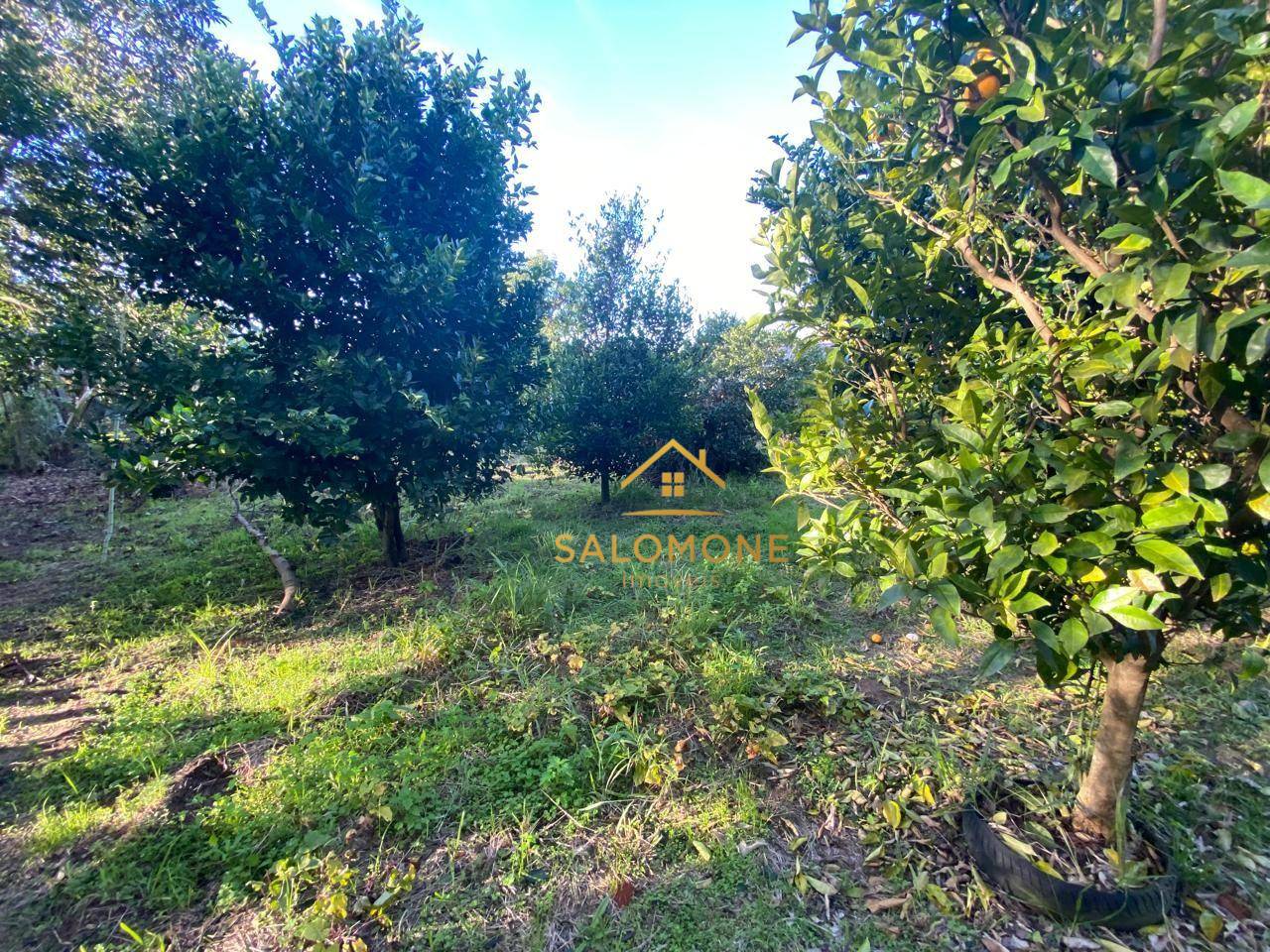 Loteamento e Condomínio, 1005 m² - Foto 3