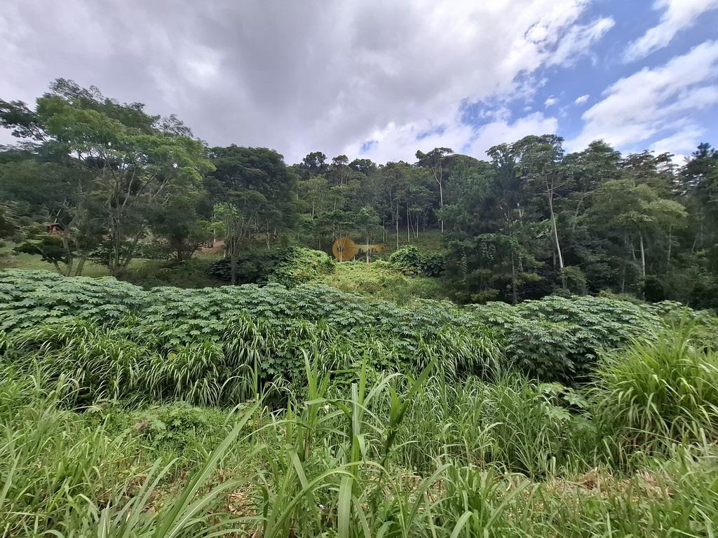 Terreno à venda, 11000m² - Foto 10