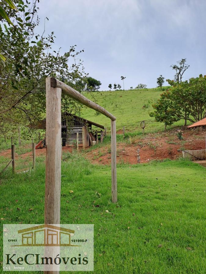 Fazenda à venda com 3 quartos, 12000m² - Foto 9