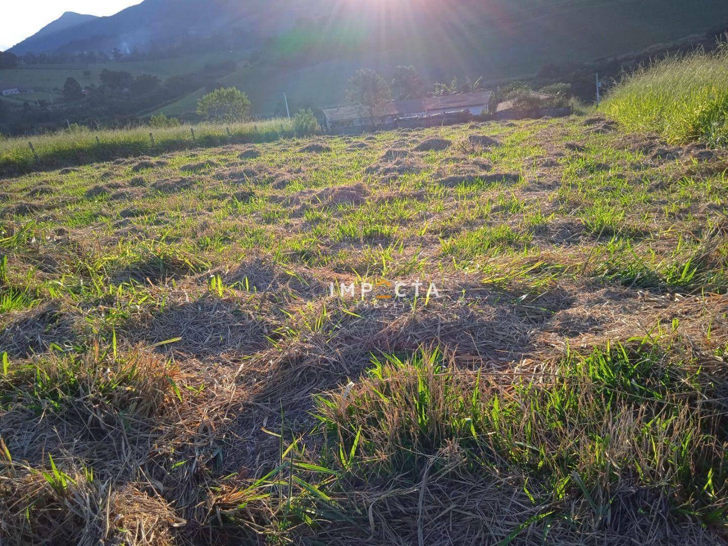 Terreno à venda, 1000M2 - Foto 1