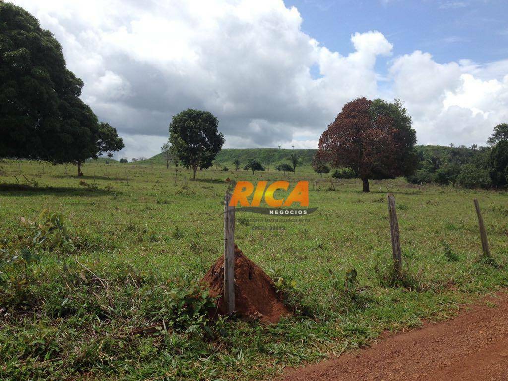 Fazenda à venda com 3 quartos, 1000000M2 - Foto 5