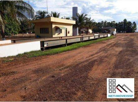 Fazenda-Sítio-Chácara, 17531 hectares - Foto 2