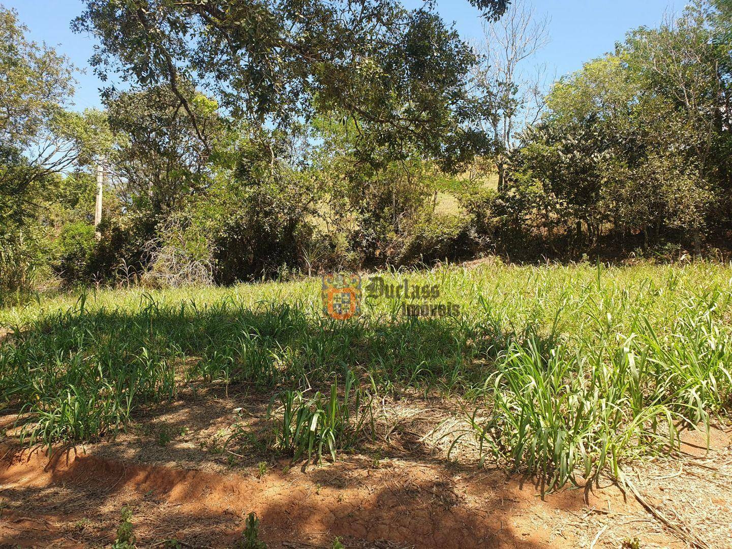 Sítio, 6 quartos, 3 hectares - Foto 7