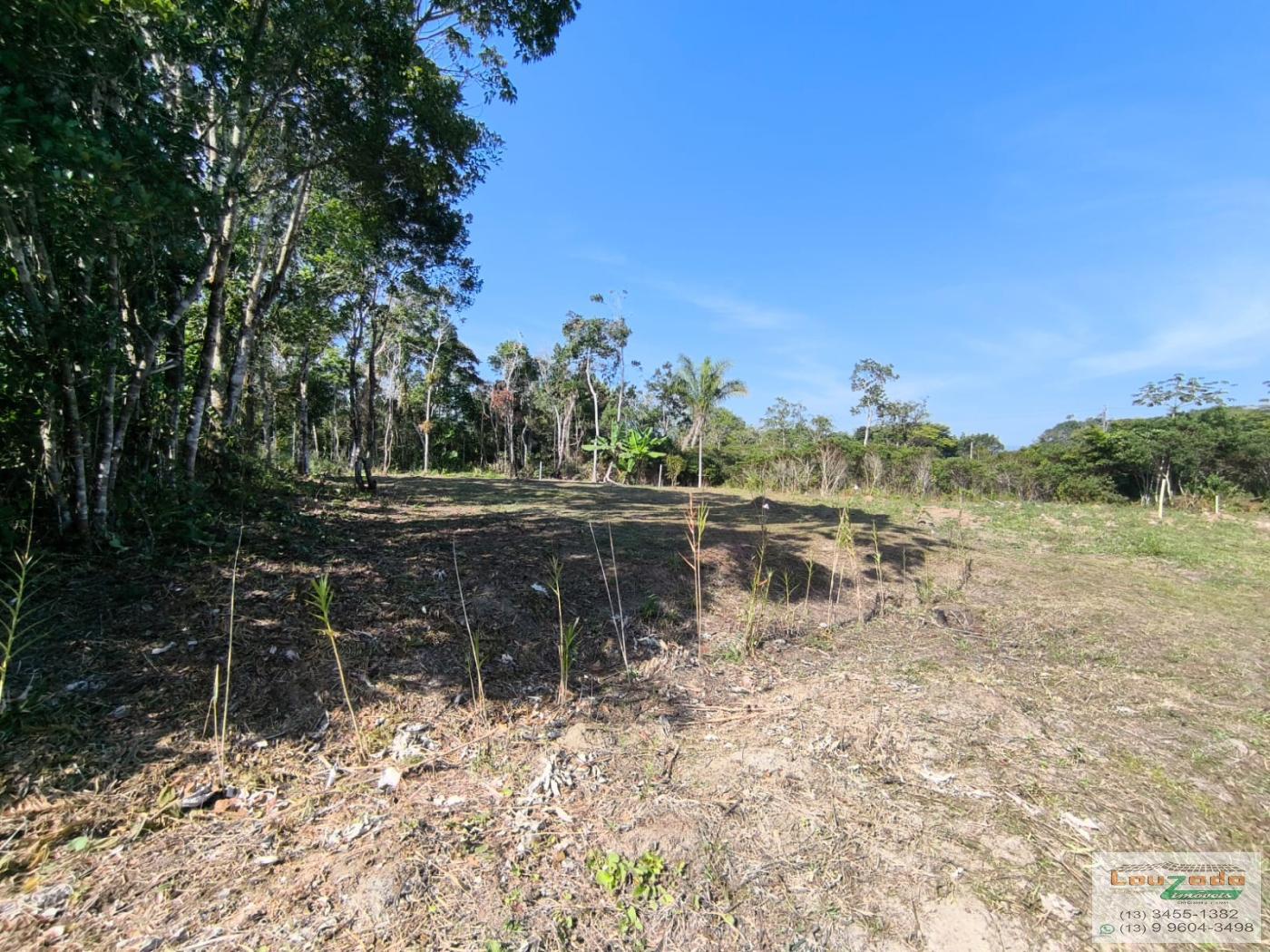 Terreno à venda, 360m² - Foto 6