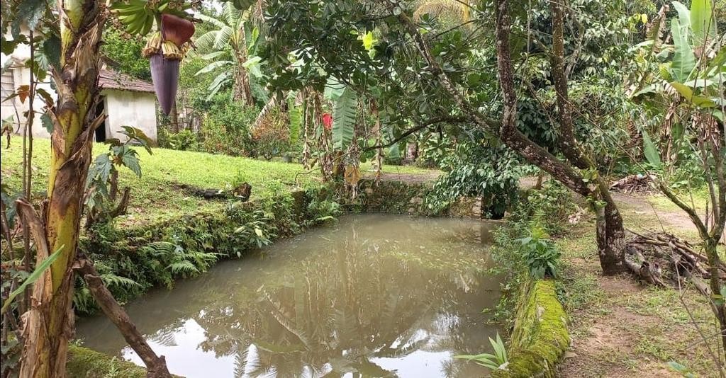 Sítio à venda com 6 quartos, 5000m² - Foto 17