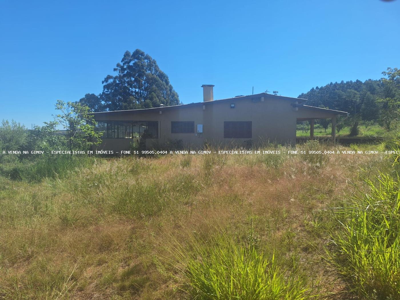 Chácara à venda com 3 quartos, 40000m² - Foto 16