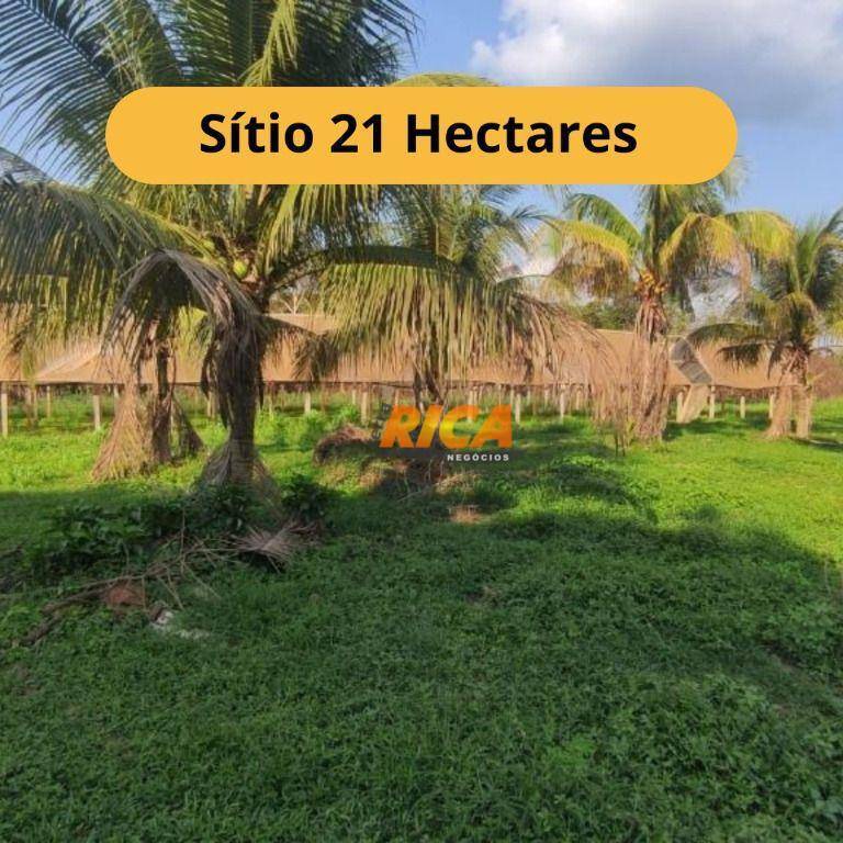 Sítio, 21 hectares - Foto 1
