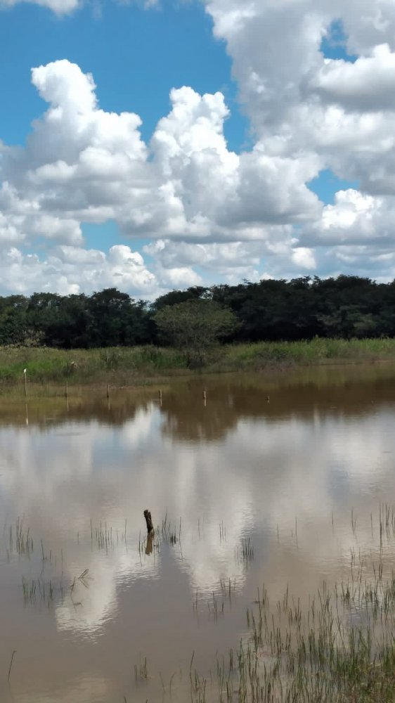 Fazenda à venda, 300m² - Foto 6