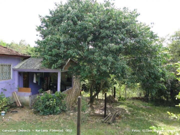 Chácara à venda com 3 quartos, 24172m² - Foto 5