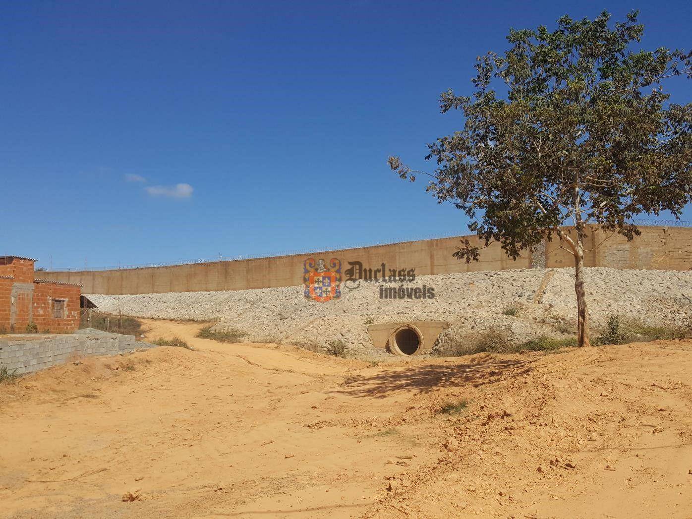 Terreno, 11 hectares - Foto 11