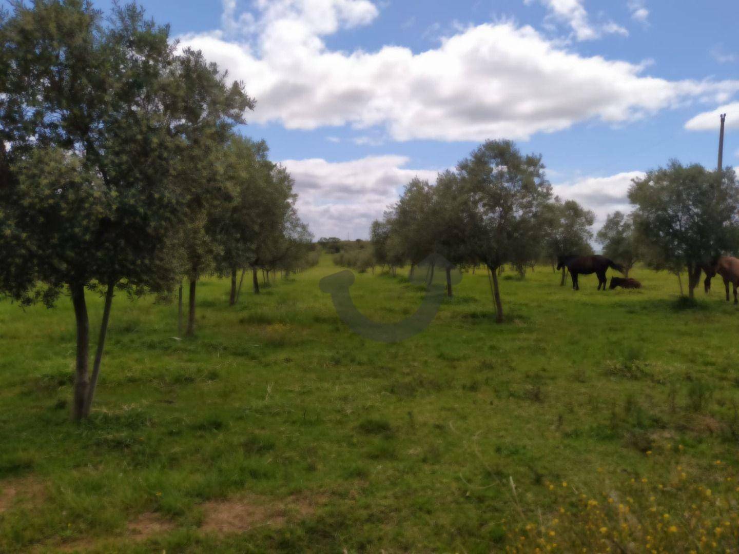 Terreno à venda, 460000M2 - Foto 3