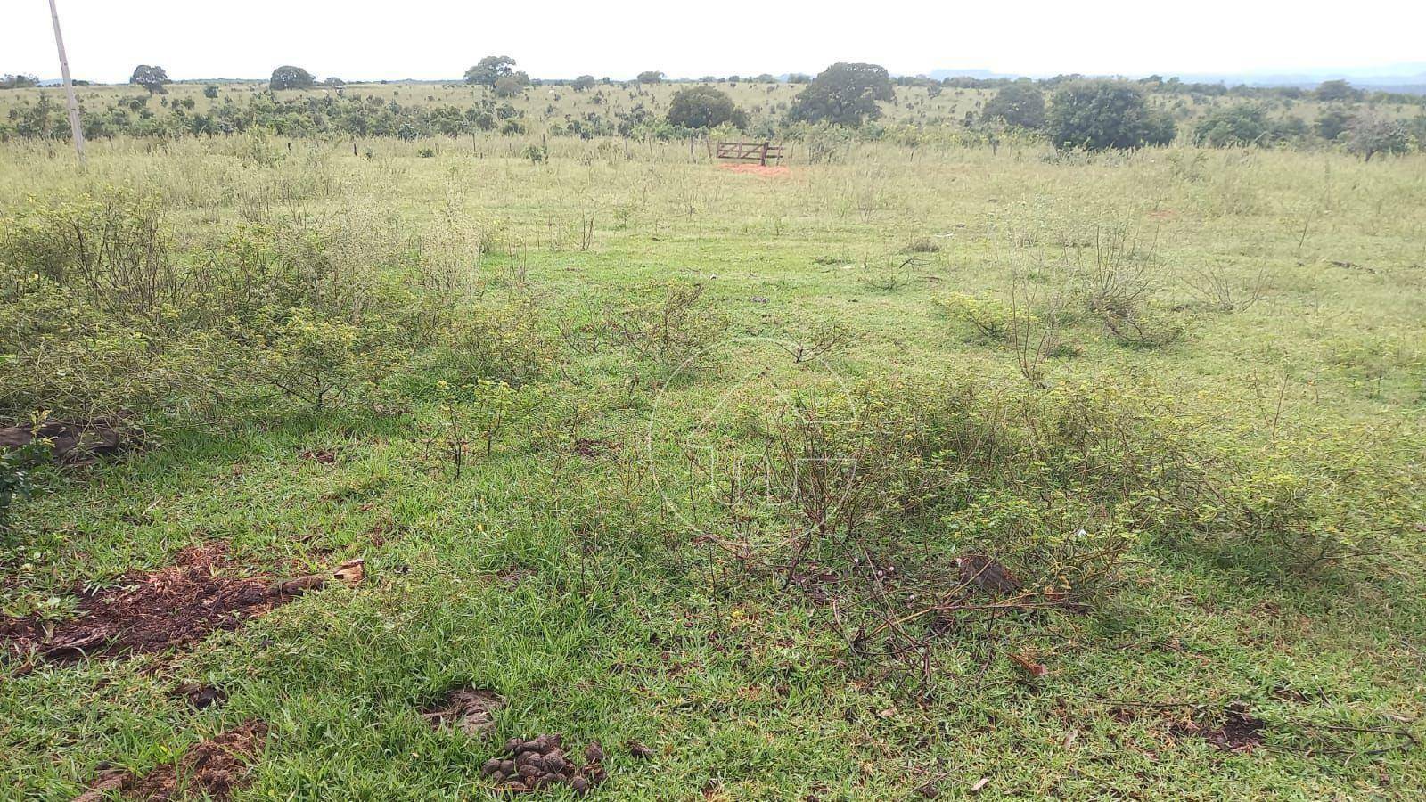 Fazenda à venda, 32000000M2 - Foto 3