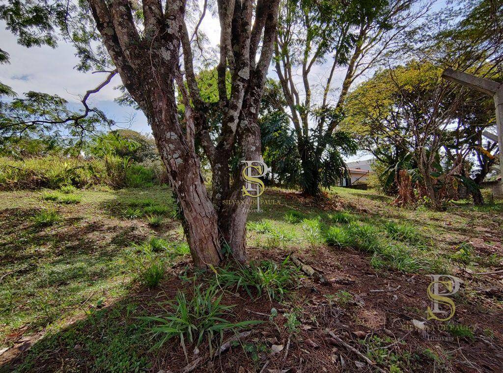 Terreno à venda, 2000M2 - Foto 4