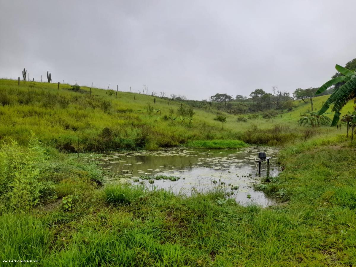 Fazenda à venda com 2 quartos, 61000m² - Foto 20