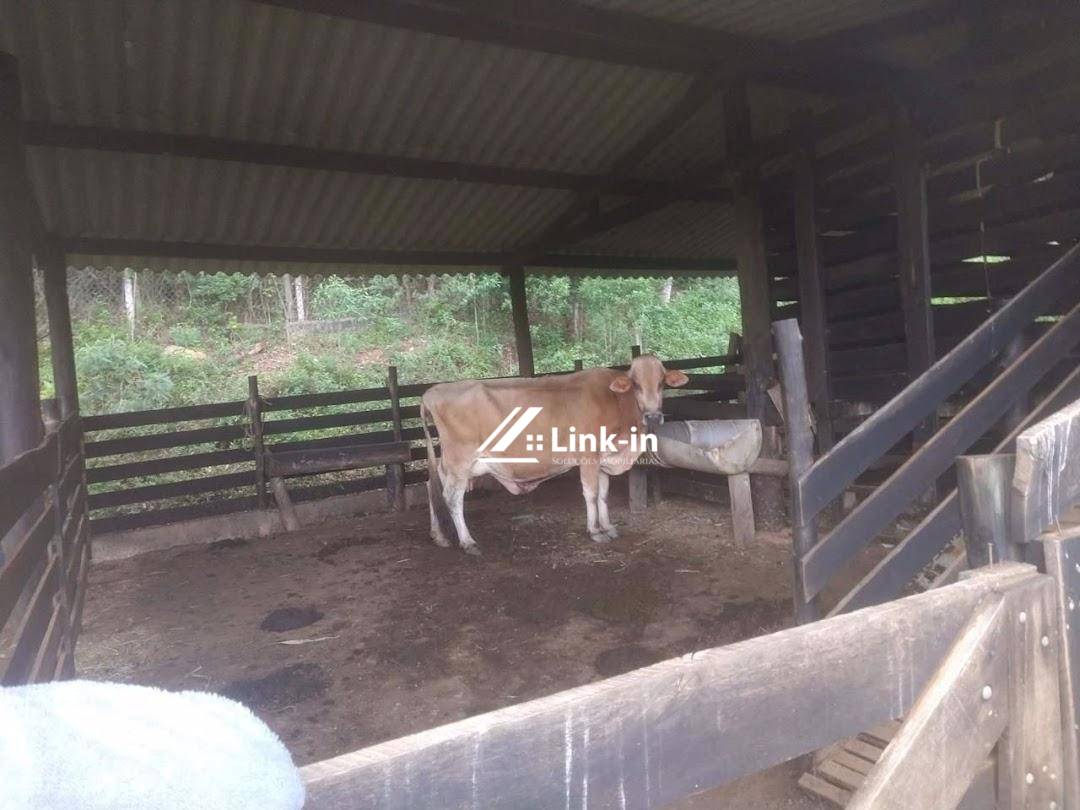 Fazenda, 3 quartos - Foto 4