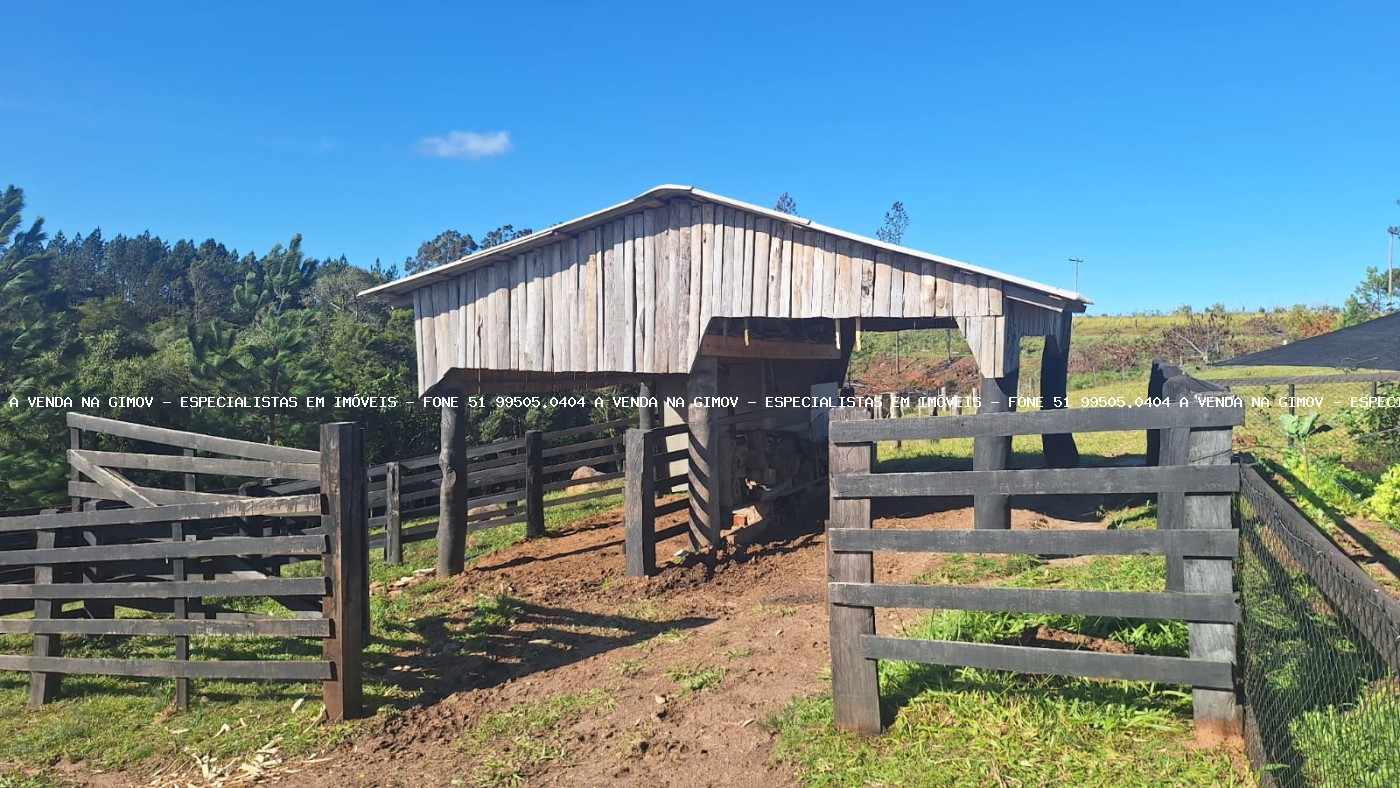 Sítio à venda com 2 quartos, 60000m² - Foto 8