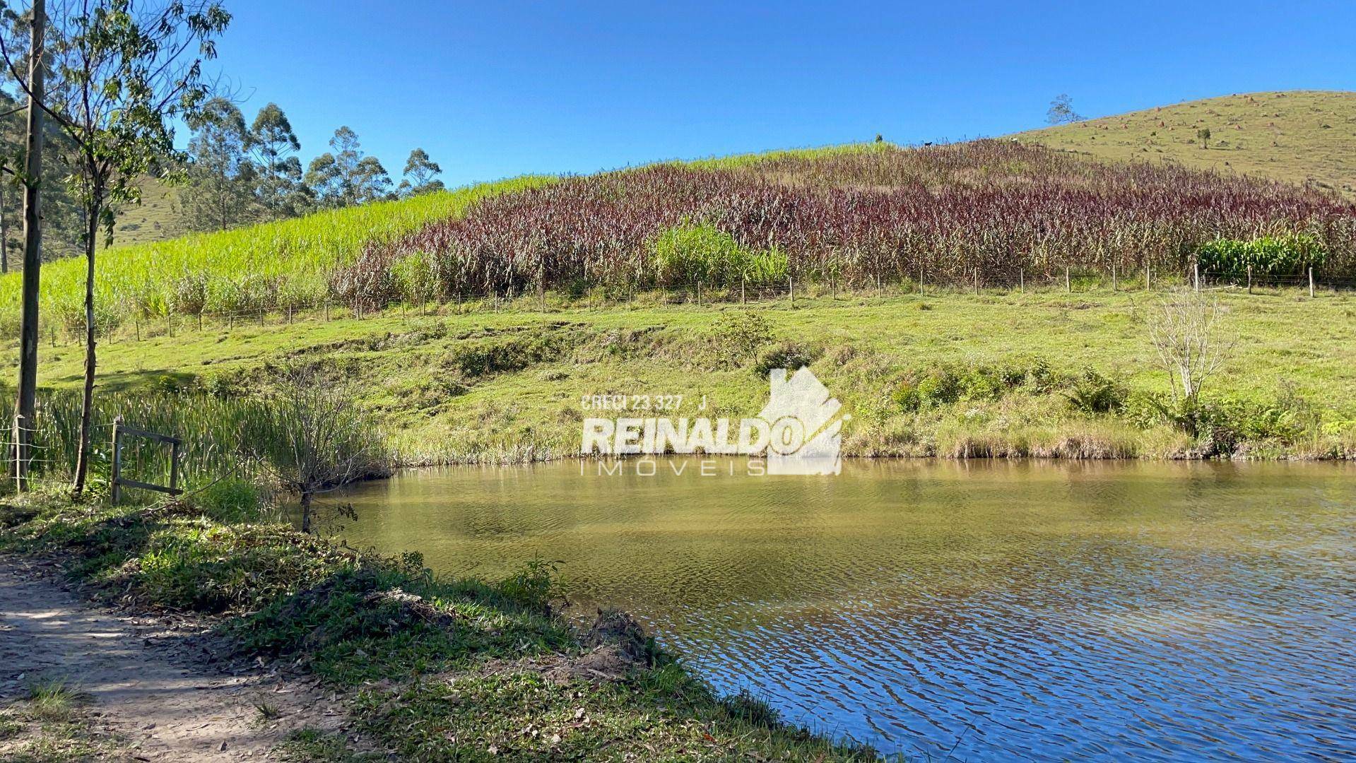 Fazenda à venda com 8 quartos, 900m² - Foto 3