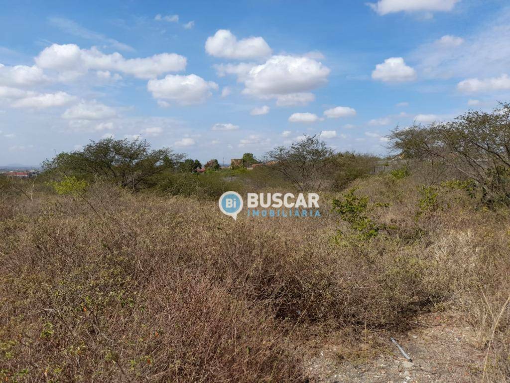 Terreno, 7537 m² - Foto 4