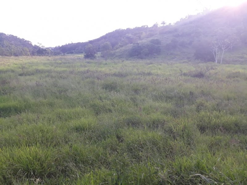 Fazenda-Sítio-Chácara, 441 hectares - Foto 4