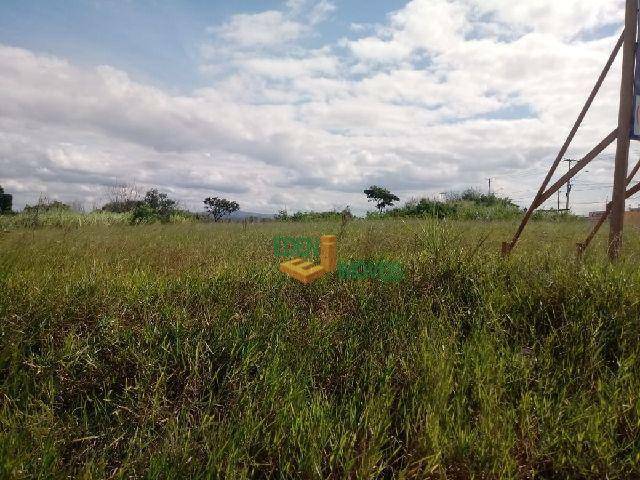 Terreno para alugar, 2000M2 - Foto 6