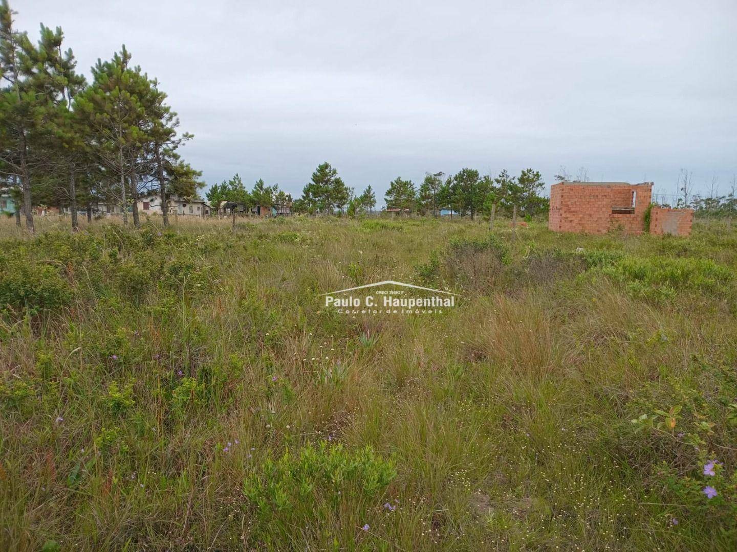 Terreno à venda, 300M2 - Foto 5