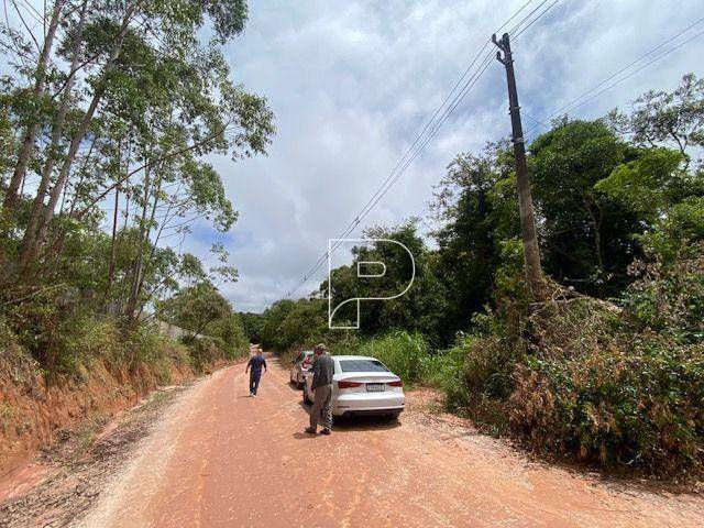 Terreno, 27 hectares - Foto 9