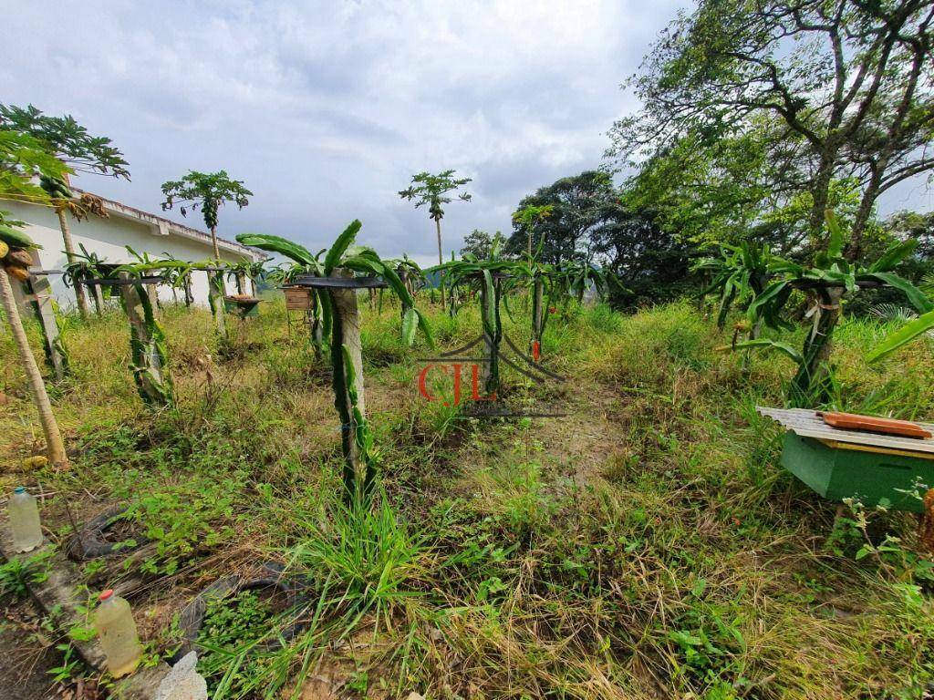 Sítio à venda com 3 quartos, 200m² - Foto 3