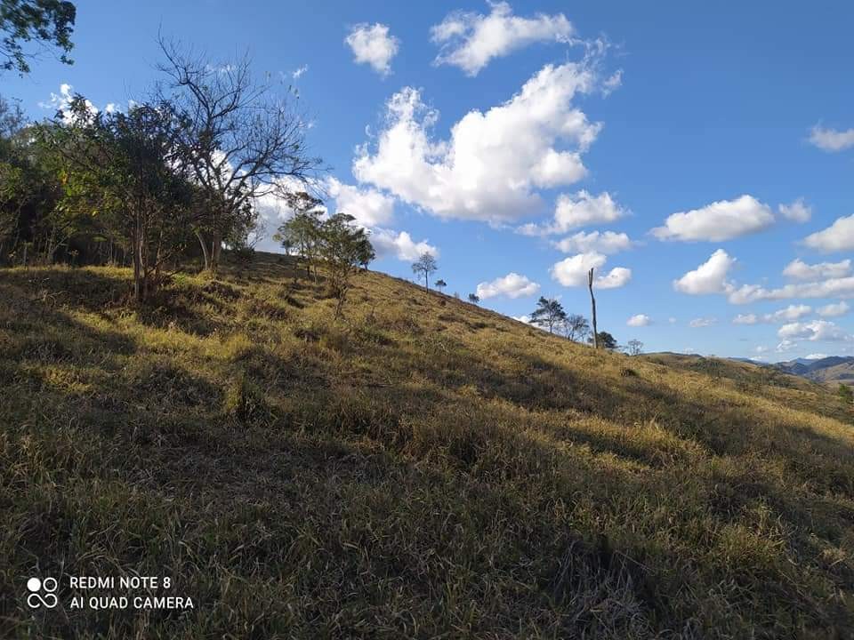 Terreno, 6 hectares - Foto 5