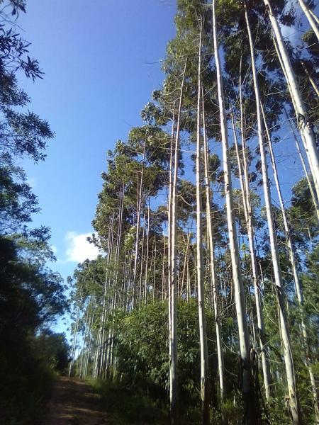 Loteamento e Condomínio à venda, 90000m² - Foto 2