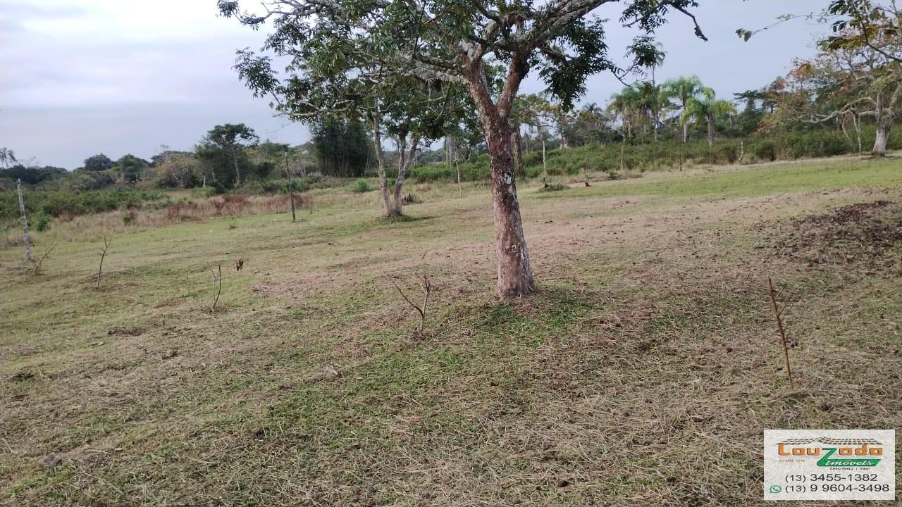 Terreno à venda, 484000m² - Foto 14