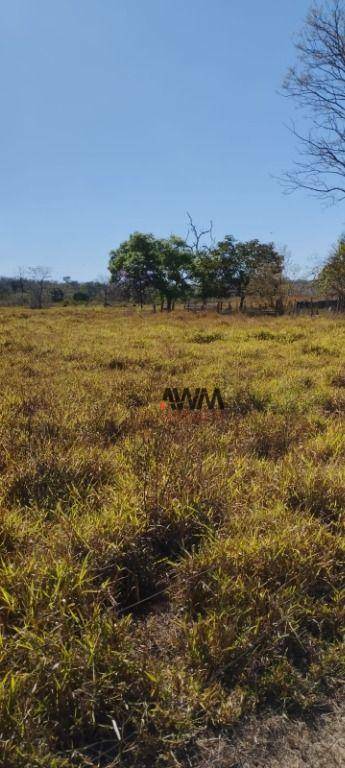 Fazenda à venda, 11567600M2 - Foto 13