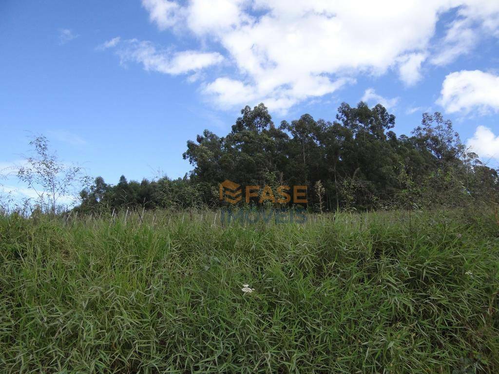 Terreno, 10 hectares - Foto 7