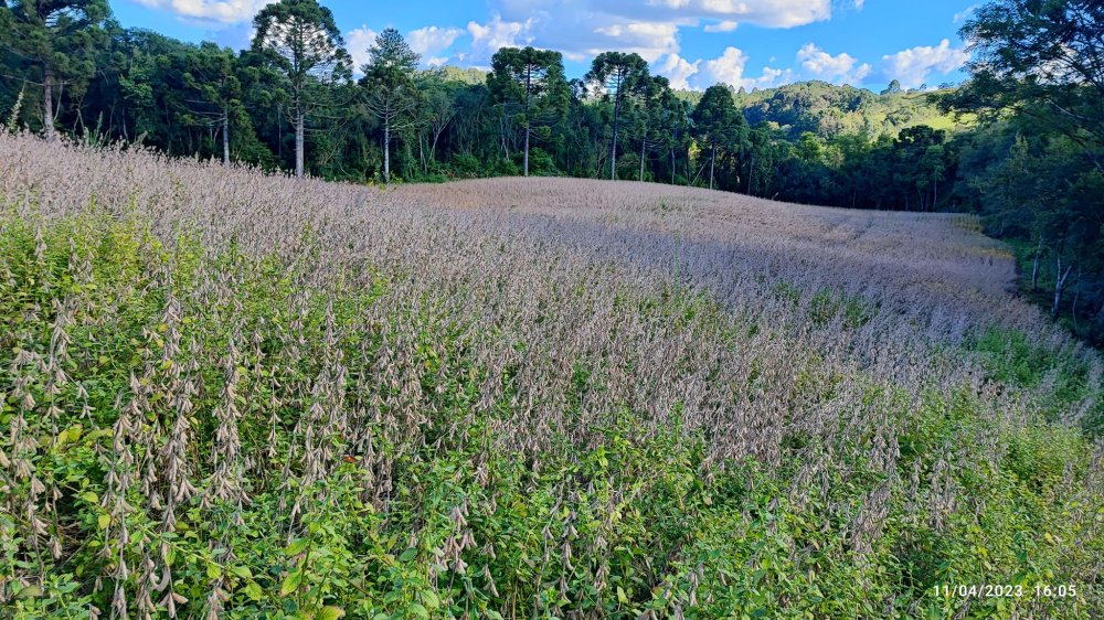 Fazenda à venda, 9m² - Foto 2