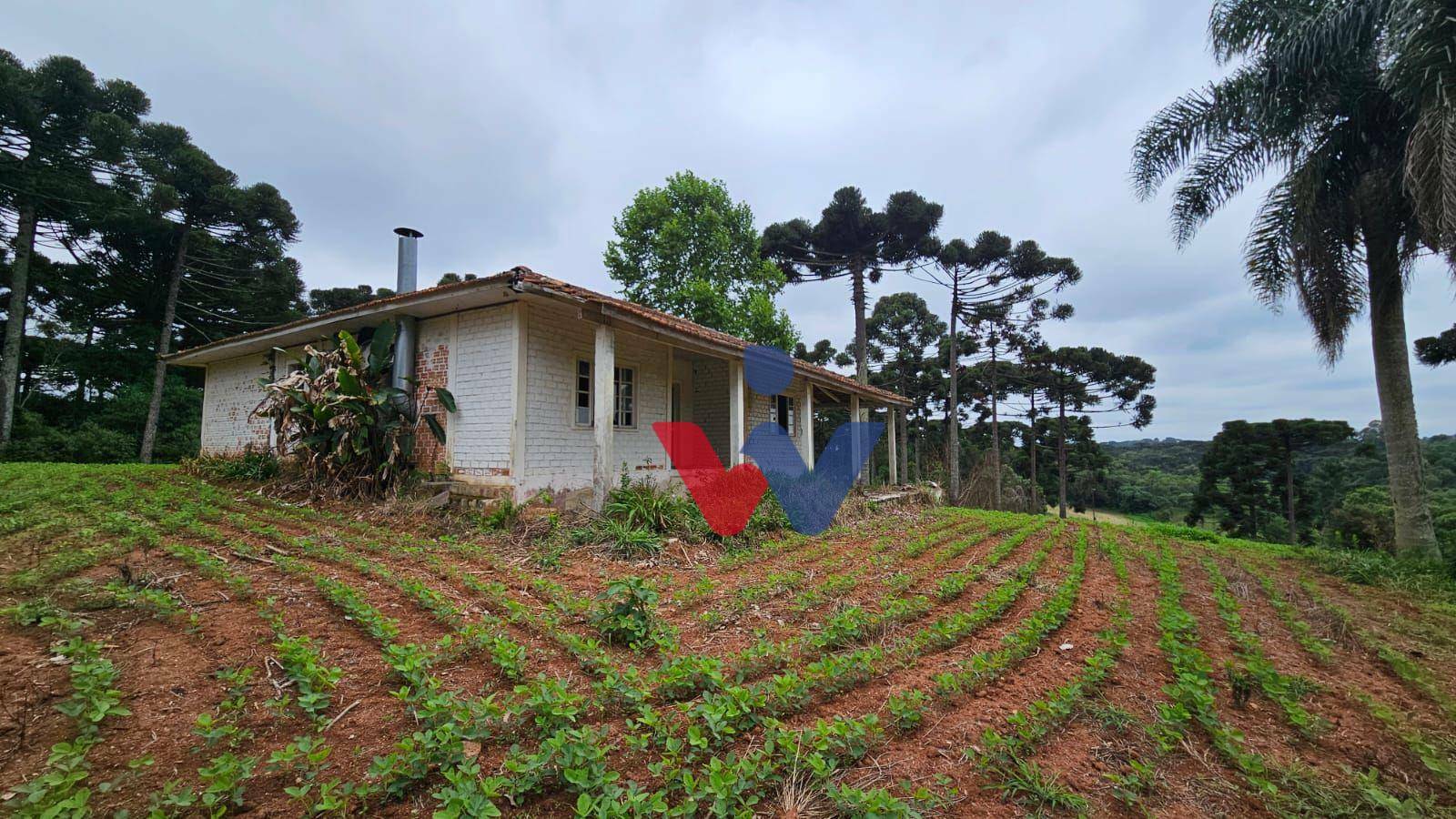 Fazenda à venda com 3 quartos, 1694000M2 - Foto 13