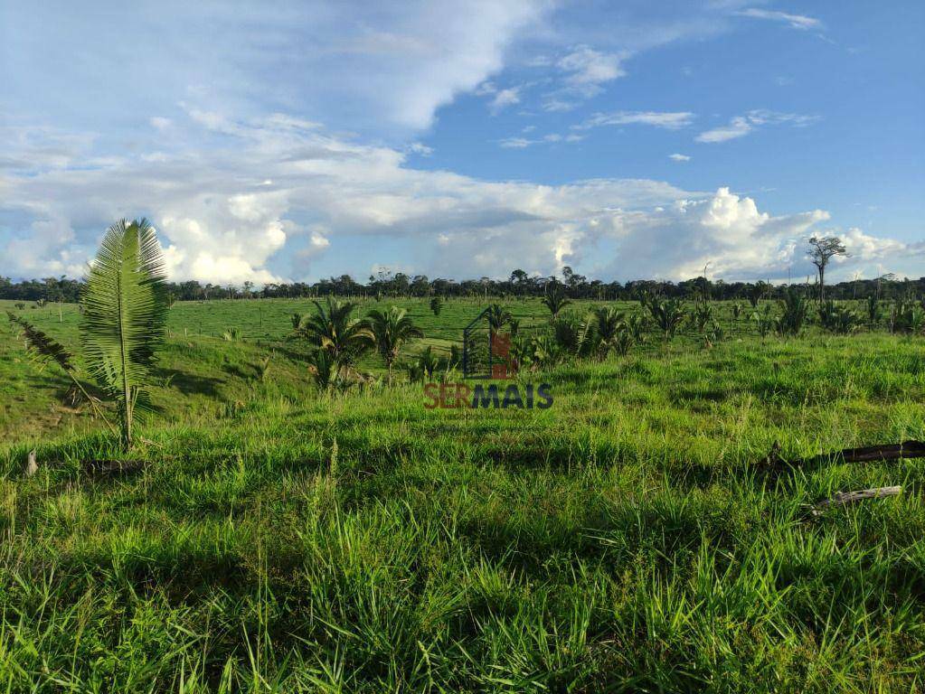 Fazenda à venda com 1 quarto, 2541000M2 - Foto 14