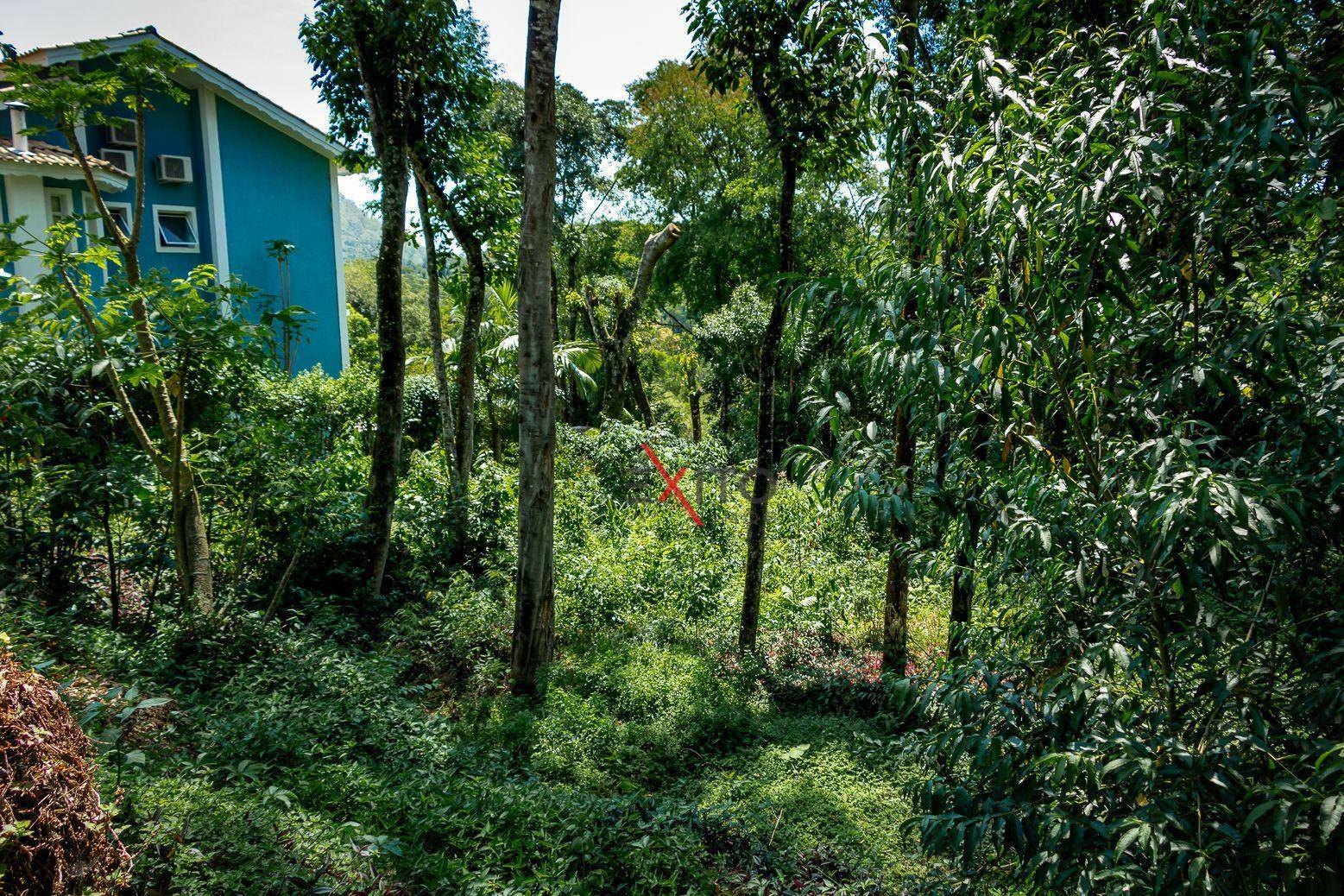 Loteamento e Condomínio à venda, 1000M2 - Foto 3