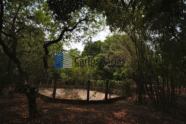 Chácara à venda com 3 quartos, 300m² - Foto 13