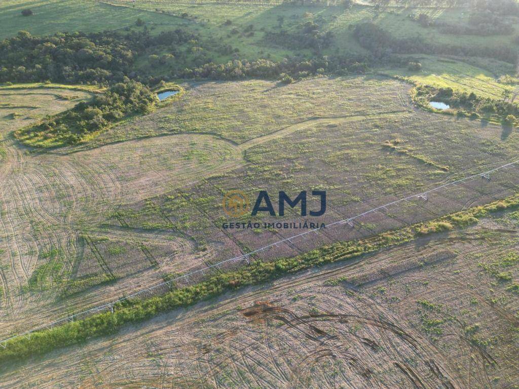 Fazenda à venda com 5 quartos, 1400m² - Foto 6