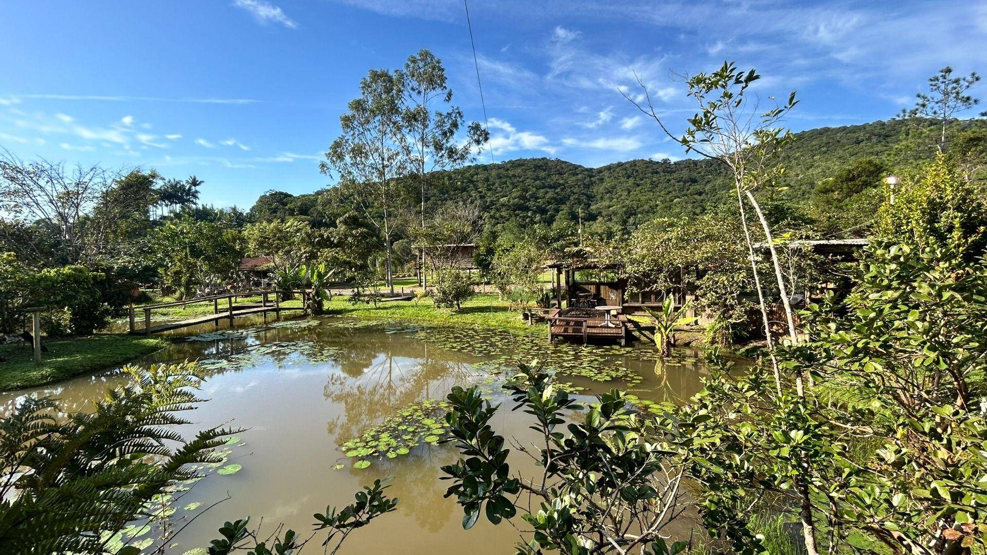 Sítio, 24 m² - Foto 7